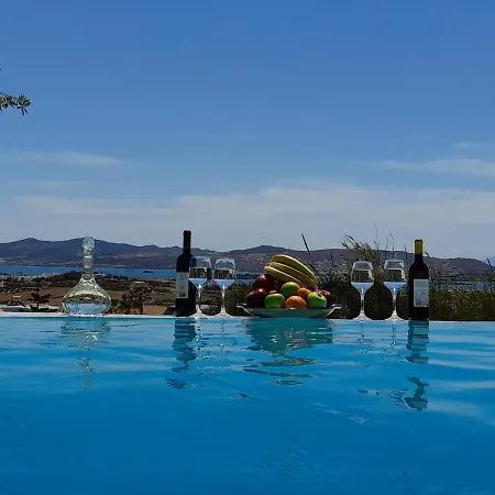 Villa Anthemion Villas Kassandra Agia Irini (Paros)